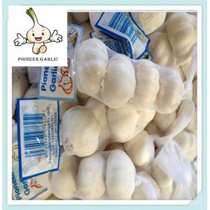Natural Garlic With Good Quality In China garlic price for new crop natural garlic