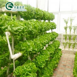 China Tomatoes Vertical Hydroponic System for Multi-Span Greenhouse Sales in Netherlands supplier