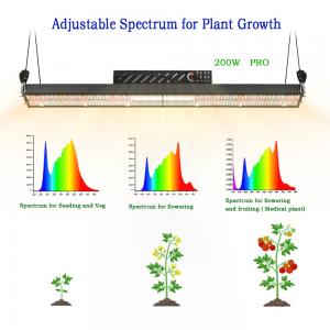 China IP20 Samsung 520Umol/S LM301H Led Plant Grow Lights 200W 2.6umol/W wholesale