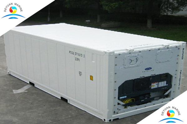High Strength 20ft Refrigeration Pallet Wide Container Thermo King Reefer