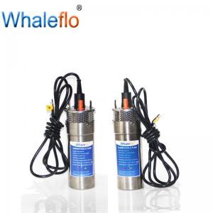 Whaleflo 24V 12LPM 4 inch dc mini high pressure deep well submersible irrigation agricultural solar water pump