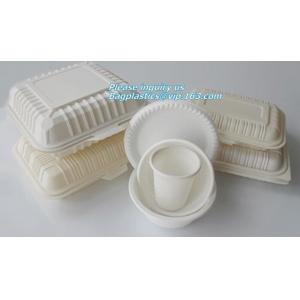 100% Biodegradable sugarcane pulp Lunch disposable Box bagasse food container disposable clamshell lunch box bagease pac