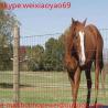 grassland fence/galvanzied grassland fence/cattle wire mesh/goat cattle deer