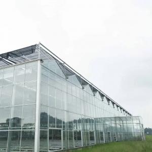Automated Hydroponic Green House Venlo Double Roof Green House Agriculture Tomato
