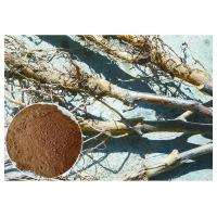 Apple Tree Root Pure Natural Plant Extracts , Extraction Of Medicinal Plants CAS 60 82 3