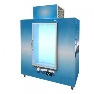 China Glass Door Indoor Ice freezer , Auto Defrost Commercial Ice Bagged Stroage Room supplier