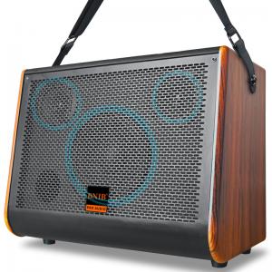 China 800 Watts Wireless Bluetooth Speaker Portable Outdoor Karaoke Speakers With Strap supplier