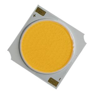 China 1919 Chip COB LED branco quente 1700K 3000K 4000K 6000K 7000K supplier