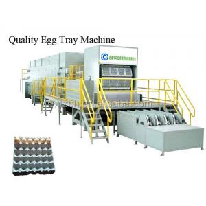 Pulp Molding  Egg Box Forming Machine 30t Carton Forming Fully Automatic