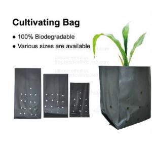 China Effective UV Stabilized Black White Plastic Growing Bag / Polyethylene Jumbo Tree Planter Bag,Poly seedling bag 5 gallon wholesale