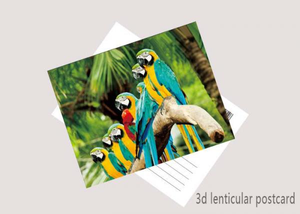 Promotion Cartoon 3D Lenticular Postcard / Flip Lenticular Image Printing