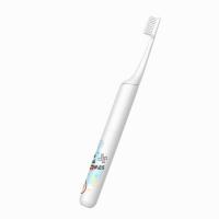 Escova de dentes clareando ultrassônica do temporizador adulto recarregável de Smart da escova de dentes elétrica