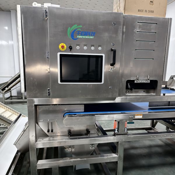 インテリジェントで効率的なキクラゲ選別機：精密選別、品質向上のための新たな選択肢