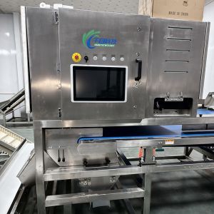 China Intelligent And Efficient Auricularia Sorter: Precise Sorting, New Choice For Improving Quality wholesale