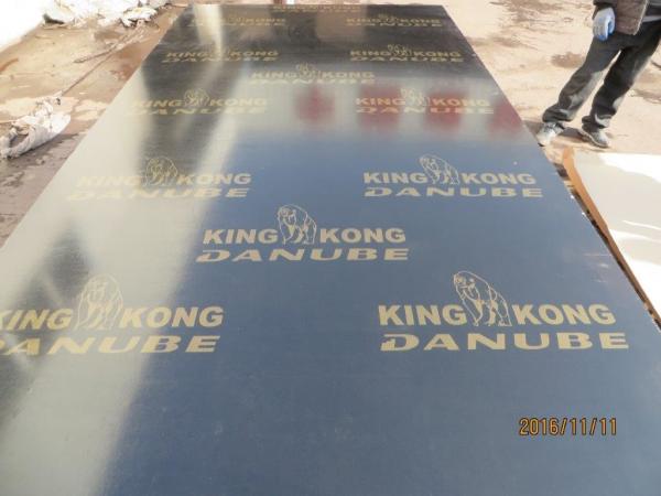 BLACK FILM FACED PLYWOOD, KINGKONG BRAND 。MR GLUE, POPLAR CORE, BLACK FILM or