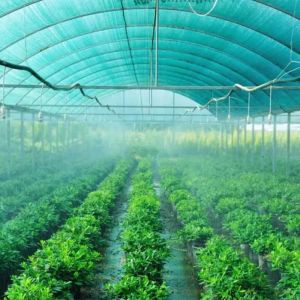 China Garden Shade Netting Shade Net Exporters Shade Net Supplier Shade Nets ​Shade Netting For Plants ​Agriculture Shade Net Shade Netting Shade Net ​Shade Net Manufacturers Sun Shade Net​ Shade Cloth wholesale