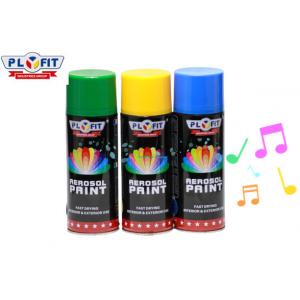 China Customized Car Paint Coating Dry Fast Aerosol Spray Paint Free Sample supplier
