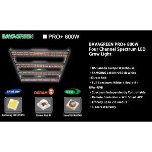 China diodo emissor de luz 4x4 phyto para crescer o controle claro de Smart WIFI da placa do quantum de Samsung LM301H supplier