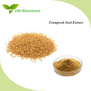 Medicine Pure Plant Extracts Anti Diabetes Fenugreek Seed Extract Powder