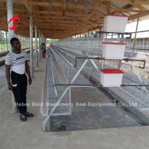 120 Birds Poultry Battery Cage Hot Galvanized With 4 Doors Use In 10000 Birds Farm Mia