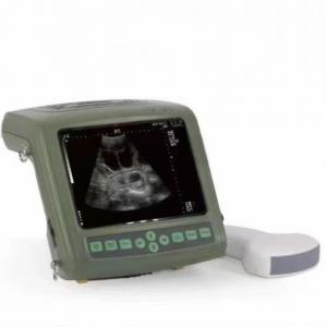 Portable Pregnancy Veterinary Ultrasound Scanner 10.4'' LED Screen