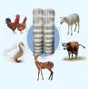 2.0MM High Tensile Strength Galvanized Wire Farm Cattle Fence For Vegetables Garden Netting Surface Treatment