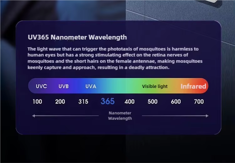 China JZ 3 in 1 USB Type Portable Mosquito Lamp with Night Light and High Voltage Swatter Safe Wet Bug Zapper Solid State wholesale