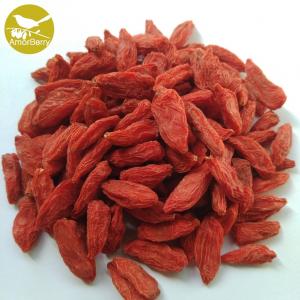 New Crop Organic Ningxia Wolfberry Dried Goji Berries From Ningxia Manufacturer