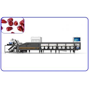 China 380V 8.5KW Dates Sorting Machine 16 Lanes AI Optical Grading Machine supplier