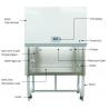 China Open Front Class II Type A2 Biological Safety Cabinet / Lab Fume Hood With Two Hepa Filter wholesale