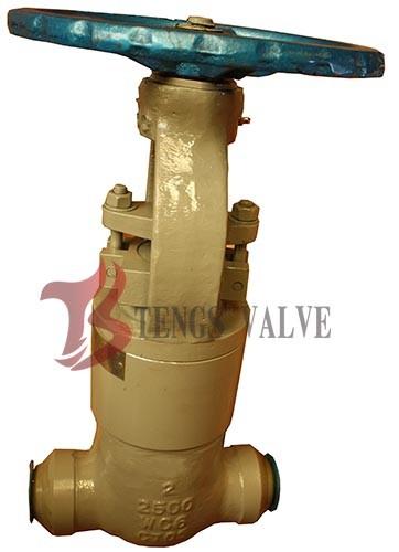 Pressure Sealing Cast Steel Gate Valve for High Pressure ANSI 1500LB / 2500LB