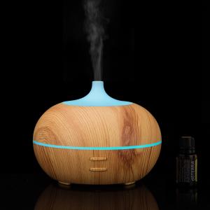 Portable USB Mini Cute Cool Mist Humidifier Essential Oil Diffuser From Indoor