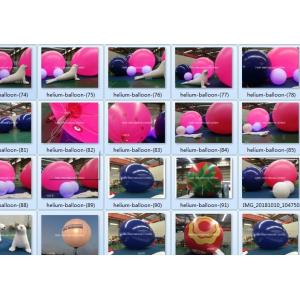 China Pink Helium Balloon And Inflatable Decorations Carton Sea Dog For Events supplier