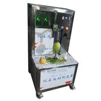 China Fully Automatic Apple Peeling Machine And Separating Machine Apple Peeler Pear Peeling Coring Machine on sale