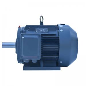 High Voltage 3 Phase Slip Ring Induction Motor 30KW 45KW 55KW 75KW 90KW 110KW