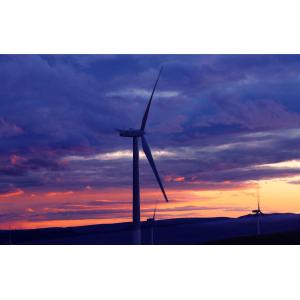 Low Carbon Domestic Wind Turbine Power Generator 12m/S
