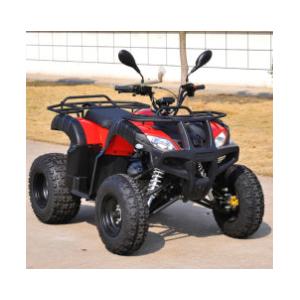 China Moto 200cc Utility Quad Bike ATV for Farm (MDL 200AUG) supplier