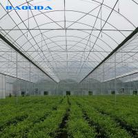 China Agriculture Natural Ventilation Greenhouse Temperature Control Multi Span Greenhouse on sale
