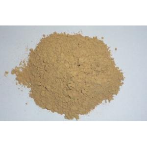 Factory Sale Cosmetic Grade Gotu Kola Extract Madecassoside 60%90% ,95%,Powder