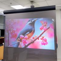 China Holographic Projection Screen Film  , Rear Projection Film For Glass For Window Store on sale