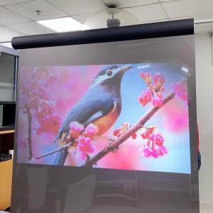 China Holographic Projection Screen Film  , Rear Projection Film For Glass For Window Store supplier