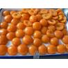 China Whole / Halves Canning Apricots Preserves , Canned Apricots In Juice wholesale