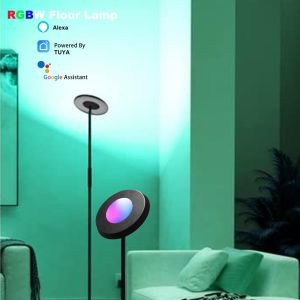 China 24W Intérieur LED RVB Lampadaire d'angle Tuya Alexa WiFi Control Salon supplier