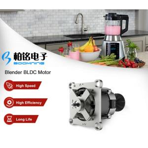 China Brushless DC Motor for High Speed Blender supplier