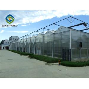 China High transmittance 10.8m Polycarbonate Greenhouse  For  Agriculture Farm supplier