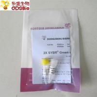 China SYBR Green Real Time PCR Mix P2091 on sale