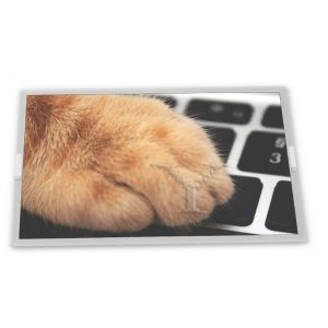 China stock Compatible 5.1-Inch WLED LCD Display Module SP14N02L6ALCZ 240*128 Resolution ODM LCD Modules wholesale