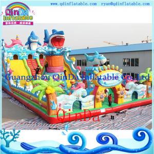 Cheer Amusement Themed Inflatable Bouncer Manufacturer