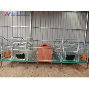 Galvanized Pig Farrowing Crates Piggery Equipment Sow Farrowing Bed