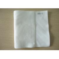 China PE Staple Fiber / Monofilament / Long Thread Polyester Filter Cloth for Centrifuge / Vaccum Filter ISO9001 on sale